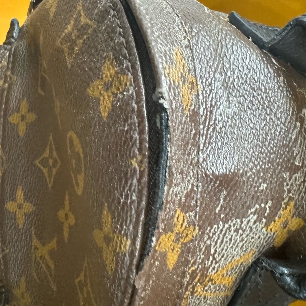 Louis Vuitton Monogrammed Palm Springs mini back pack - Picture 7 of 16
